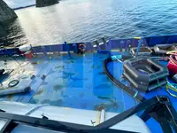 بلک کیریئر فروخت کے لئے