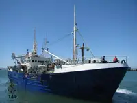 Purse seiner فروخت کے لئے