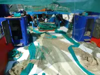 Trawler فروخت کے لئے