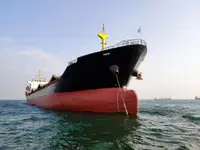 بلک کیریئر فروخت کے لئے