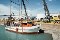 Trawler فروخت کے لئے