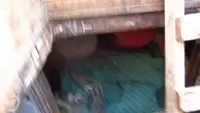 ٹراولر فروخت کے لیے