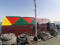 بلک کیریئر فروخت کے لئے