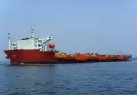 بلک کیریئر فروخت کے لیے