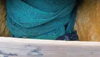 ٹراولر فروخت کے لیے