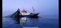 Trawler فروخت کے لئے