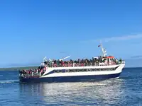 مسافر جہاز فروخت کے لئے