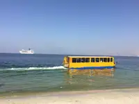 امبیبیئس فروخت کے لئے