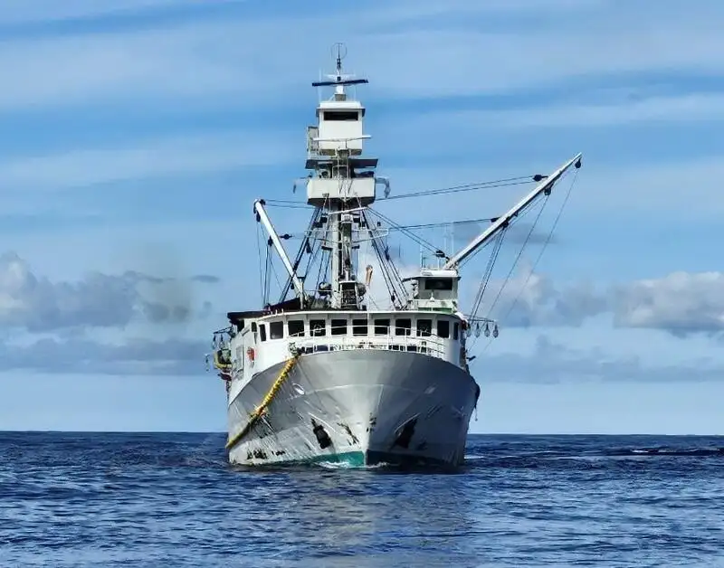 دیکھنے والا فروخت کے لئے