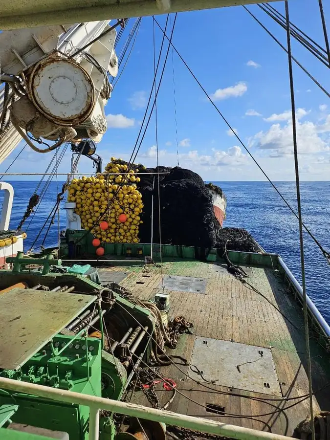 دیکھنے والا فروخت کے لئے