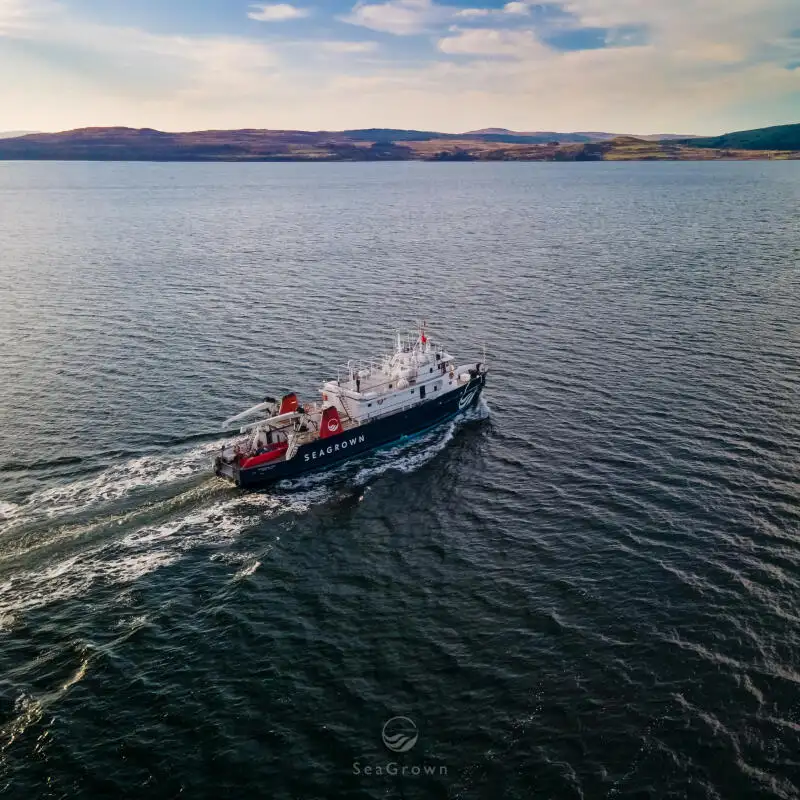 سروے کرنے والا جہاز فروخت کے لئے