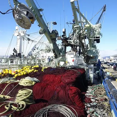 دیکھنے والا فروخت کے لئے