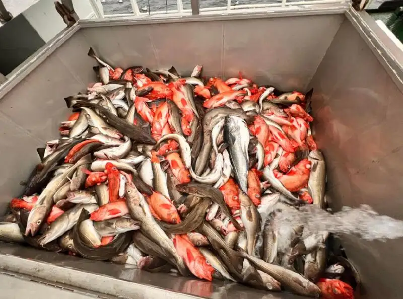 ماہی گیری کا ٹرالر فروخت کے لئے