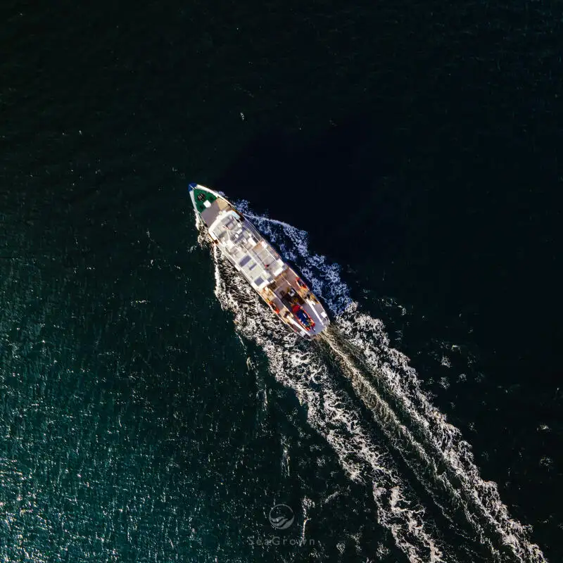 سروے کرنے والا جہاز فروخت کے لئے