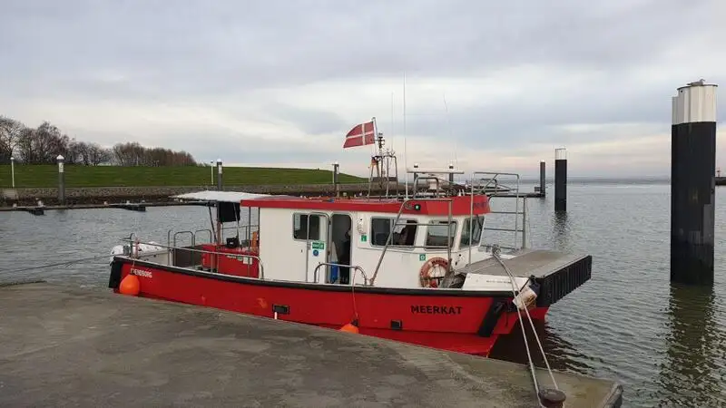 کیٹاماران فروخت کے لئے