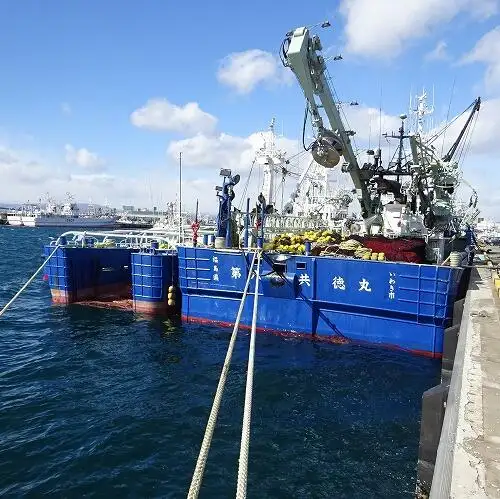 دیکھنے والا فروخت کے لئے