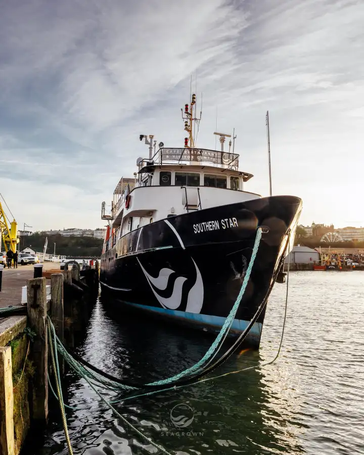 سروے کرنے والا جہاز فروخت کے لئے