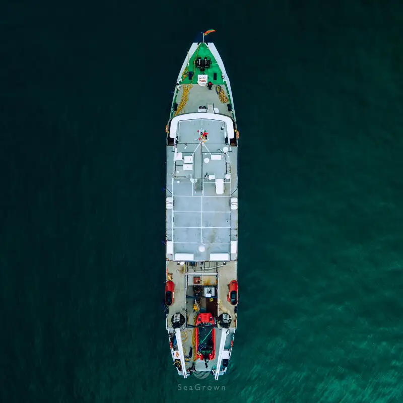 سروے کرنے والا جہاز فروخت کے لئے