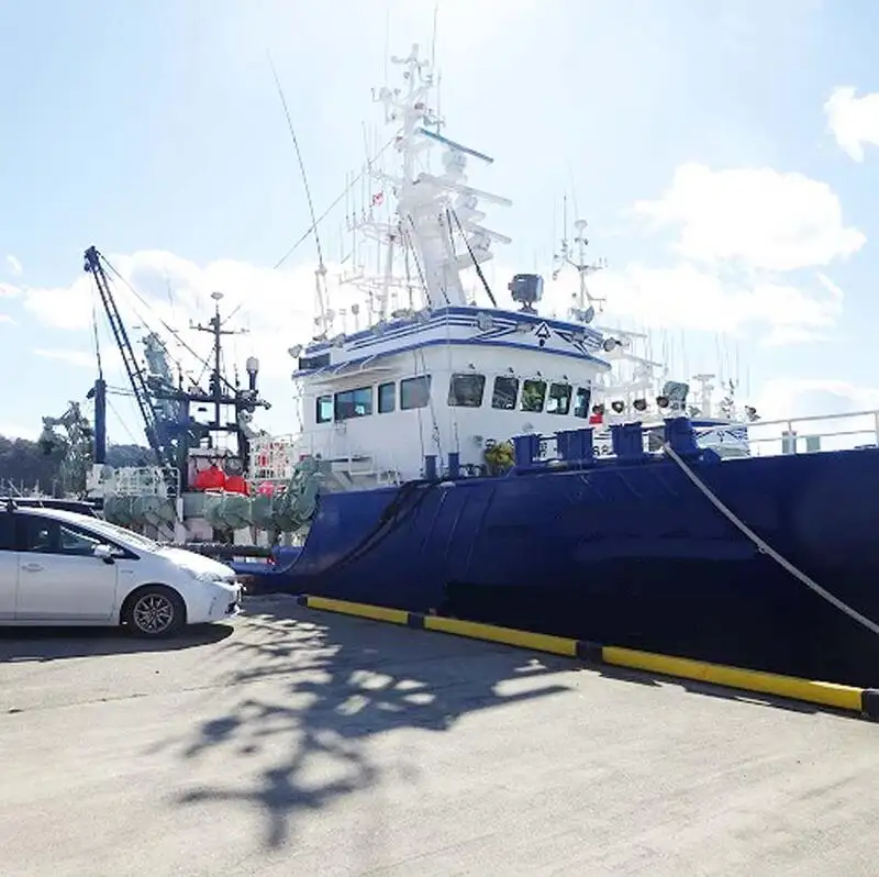 دیکھنے والا فروخت کے لئے