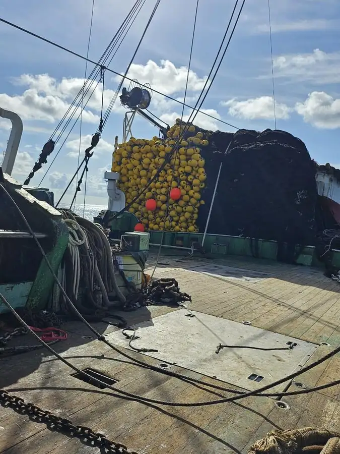 دیکھنے والا فروخت کے لئے