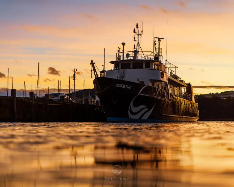 سروے کرنے والا جہاز فروخت کے لئے