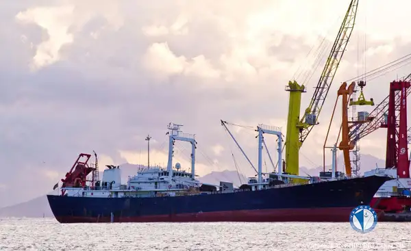 Reefer ship for sale