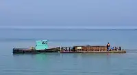 کام کی کشتیاں فروخت کے لئے