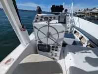 کروز فیری فروخت کے لئے