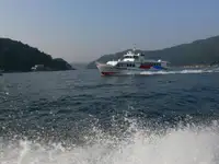 کشتی فروخت کے لئے