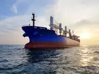 بلک کیریئر فروخت کے لئے