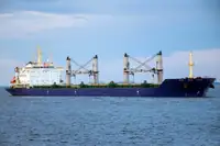 بلک کیریئر فروخت کے لئے