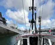 پائلٹ کشتی فروخت کے لئے