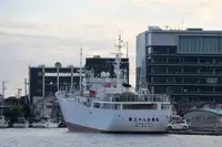 ماہی گیری کا ٹرالر فروخت کے لئے