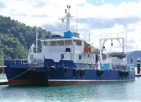 کیٹاماران فروخت کے لئے