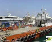 ونڈ فارم برتن فروخت کے لئے