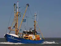 ماہی گیری کا ٹرالر فروخت کے لئے