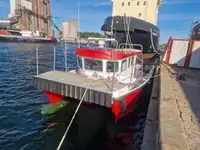 کیٹاماران فروخت کے لئے