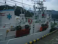 ماہی گیری کا ٹرالر فروخت کے لئے