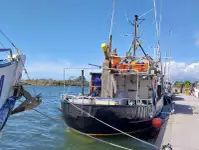 لمبی لائن والا برتن فروخت کے لئے