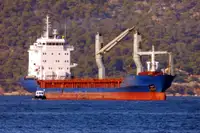 بلک کیریئر فروخت کے لئے