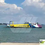 لینڈنگ کرافٹ، ٹینک فروخت کے لئے