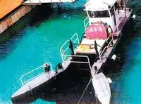 گشتی کشتی فروخت کے لئے