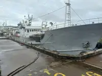 لمبی لائن والا برتن فروخت کے لئے