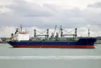 بلک کیریئر فروخت کے لئے