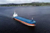 بلک کیریئر فروخت کے لئے