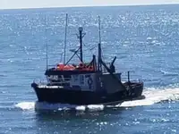 لمبی لائن والا برتن فروخت کے لئے