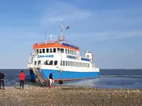 موٹر جہاز فروخت کے لئے